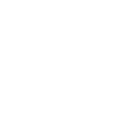 Team Vitality